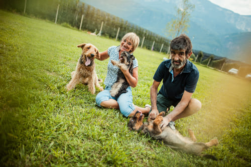 Hundepension in Südtirol Ulten Terlan Kurtatsch Lana Sterzing